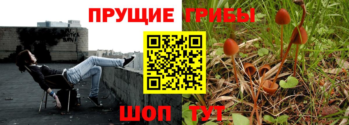 Великий Новгород  Галлюциногенные грибы Magic Shrooms  Вход с VPN 