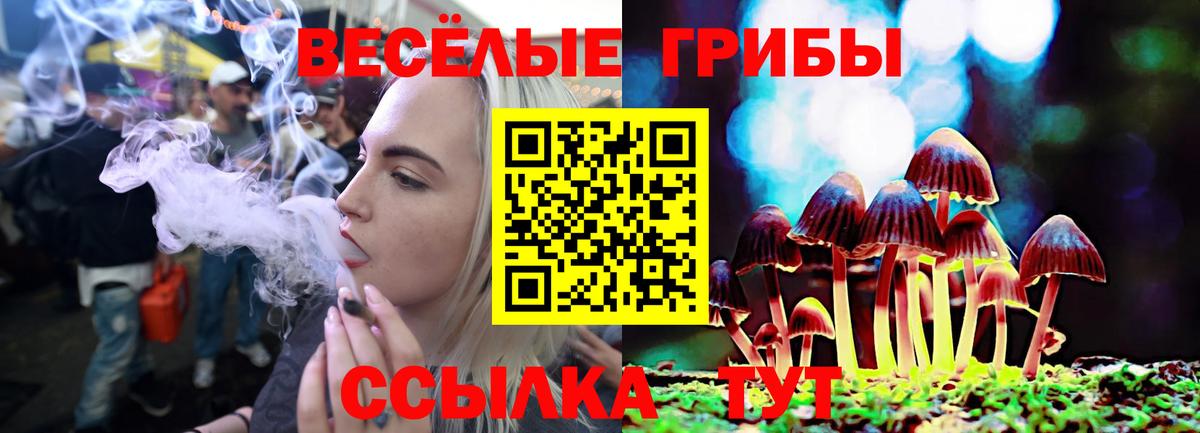 Галлюциногенные грибы Psilocybine cubensis Великий Новгород